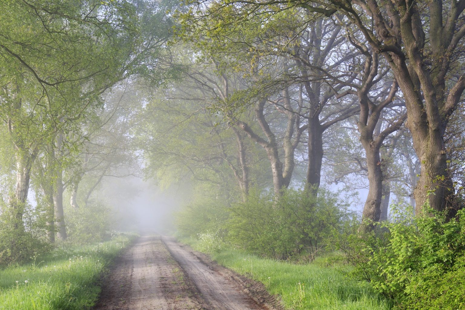 Wandelen Drenthe De Mooiste Natuurroutes