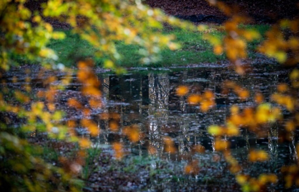 solse gat speulderbos