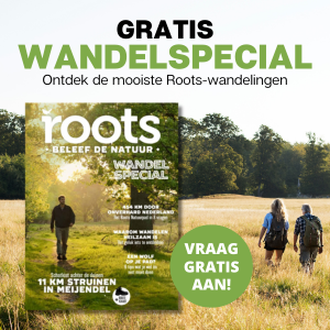 Roots wandel special