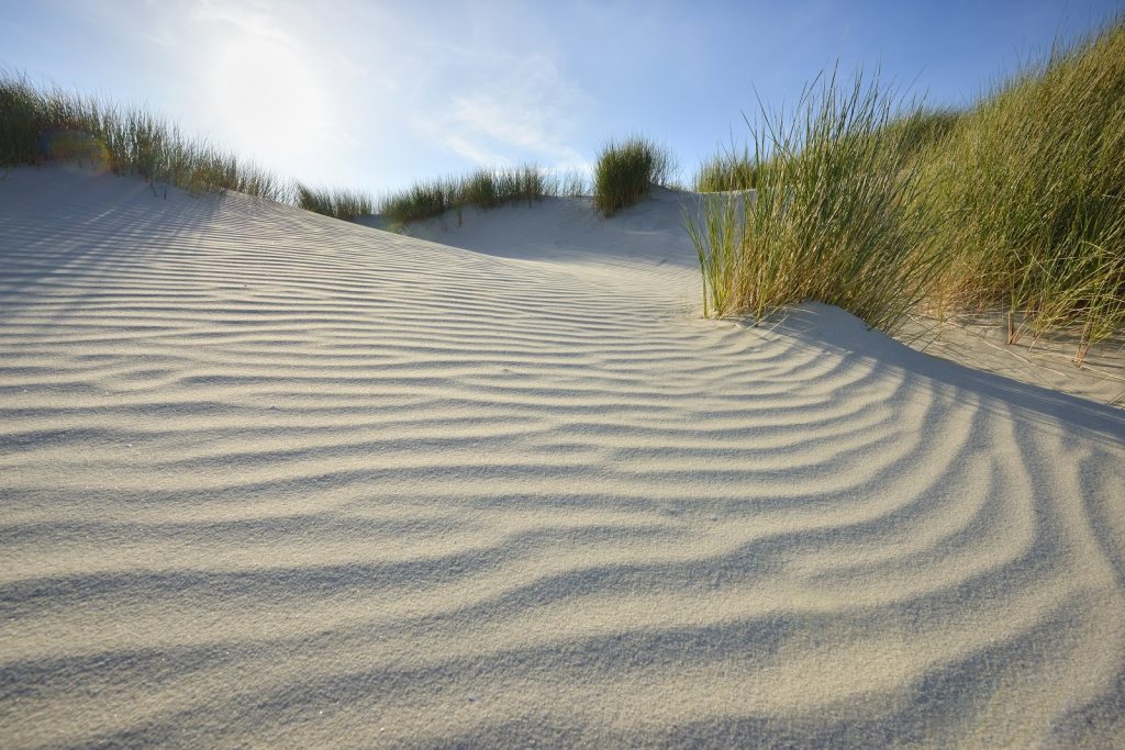 De duinen bij Westenschouwen zijn onderdeel van een stiltegebied.

