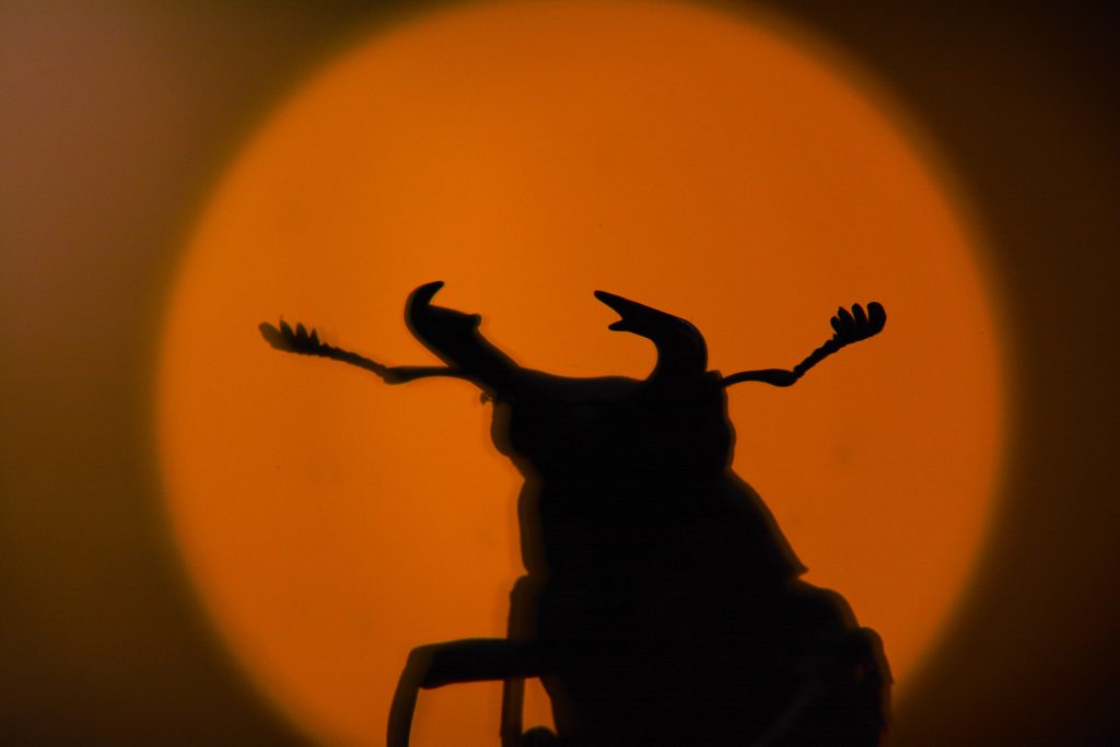 Silhouet van een vliegend hert.

