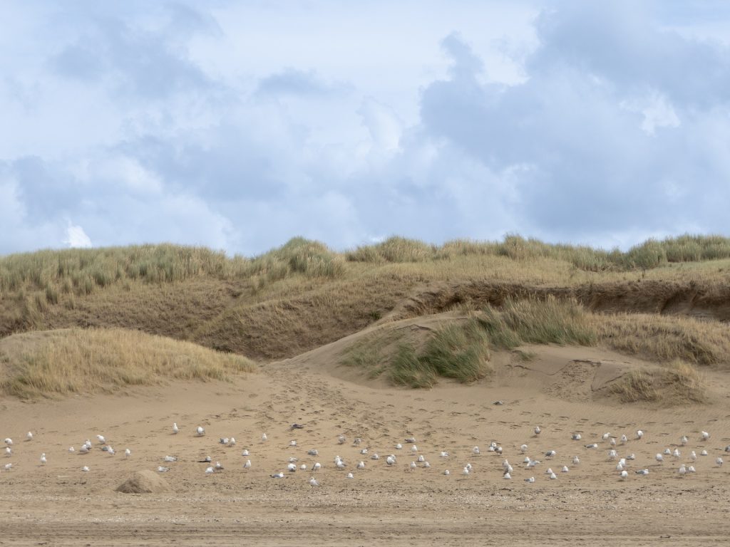 noordduinen