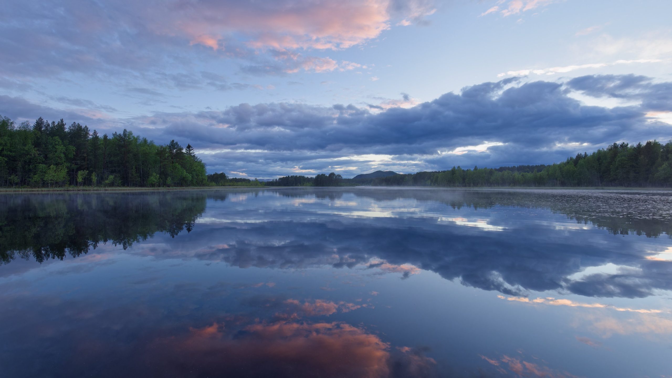 ljusnan zweden