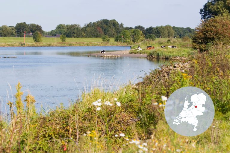 IJssel bij het Zalkerbos