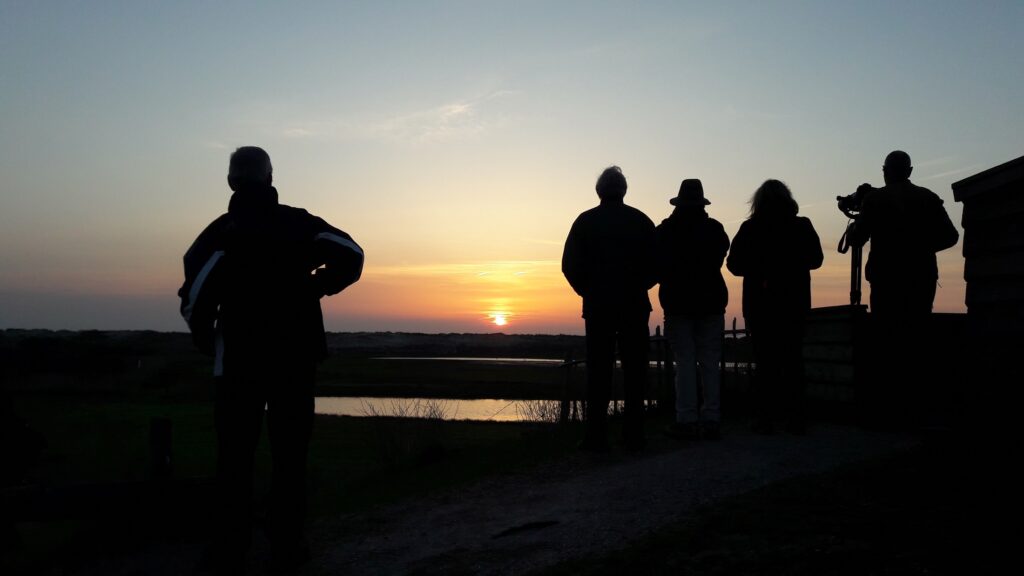 Oktober vogelweekend Texel