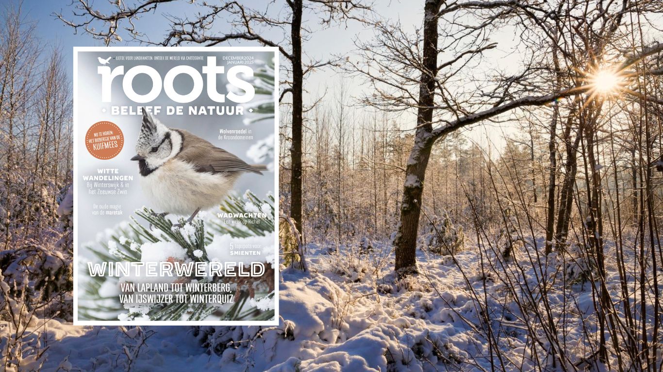 Roots december-januari