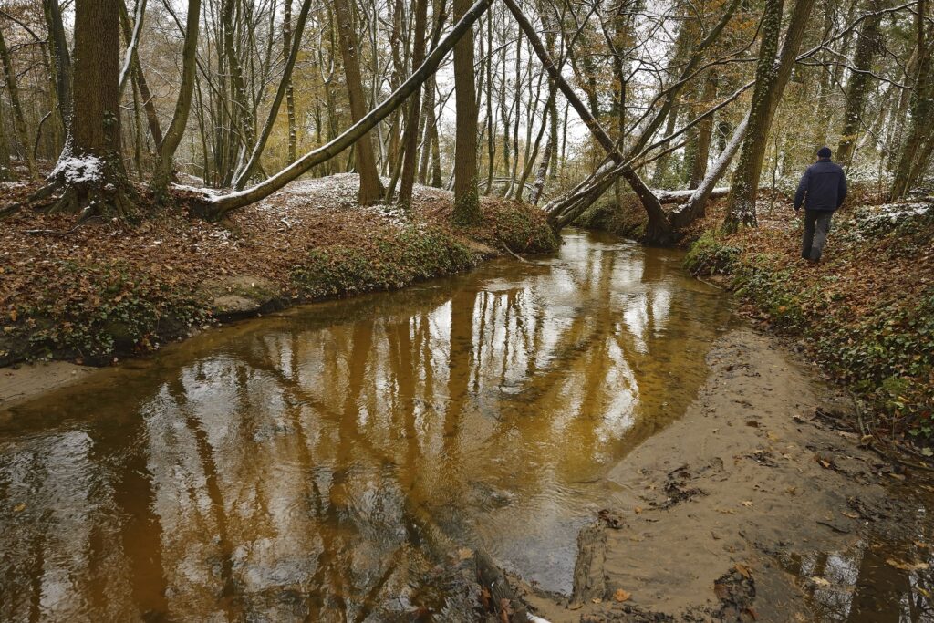 Wandelaar langs de Willinkbeek bij Winterswijk
