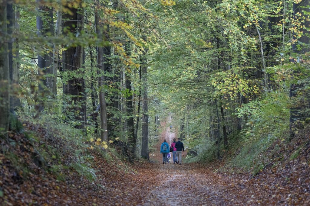 Wandelaars in het Zoniënwoud