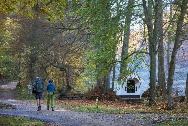 Wandelaars Zoniënwoud