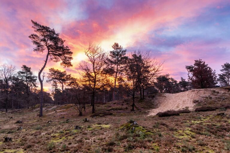 Landschappen door de Lens