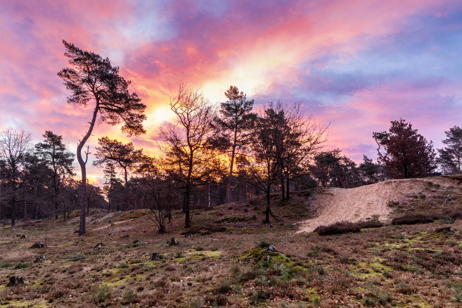 Landschappen door de Lens