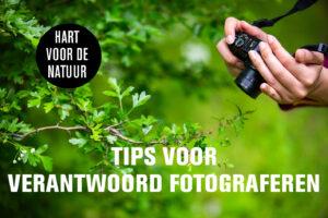 Hart voor de natuur: klik hier voor  tips voor verantwoord fotograferen